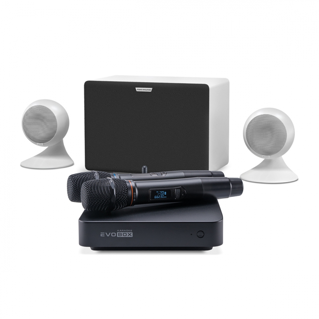 караоке-комплект EVOBOX Classic + EvoSound Sphere 2.1 в Нарьян-Маре