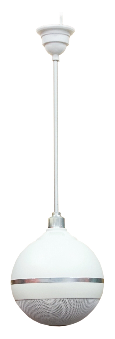 SVS Audiotechnik BWS-603 Громкоговоритель подвесной потолочный в Нарьян-Маре