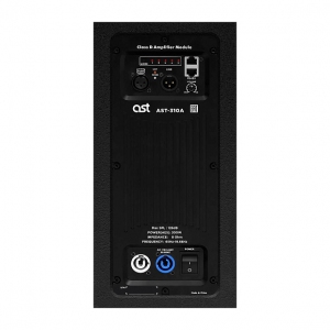 Активная акустическая система AST-310A в Нарьян-Маре