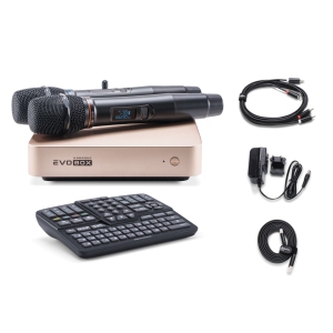 EVOBOX Classic караоке-система для дома в Нарьян-Маре